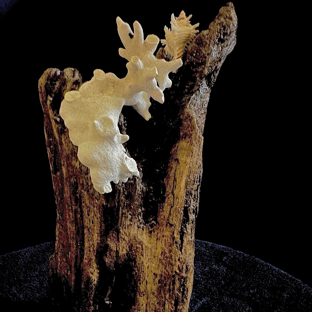 Driftwood desk sculpture